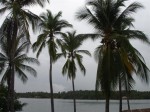 La Cocotera Resort