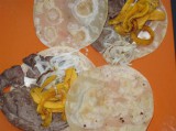 Tortillas de harina con milanesas de res.