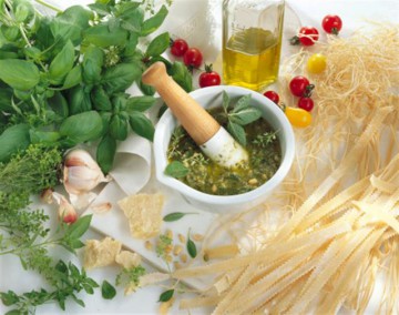 Conocimiento de Alimentos
