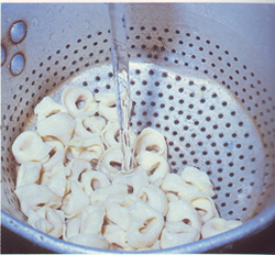 Generalidades sobre Pastas