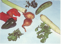 vegetales.jpg