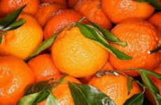 Aporte  nutricional de las frutas