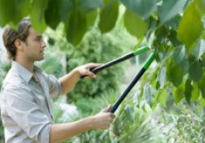 Consejos sobre el mantenimiento del jardín