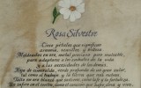 Rosa Silvestre1